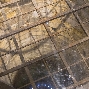 1_ewg_london_16_191.jpg